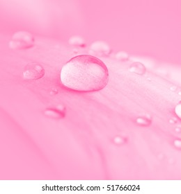 Beautiful water drop on pink petals, super macro
