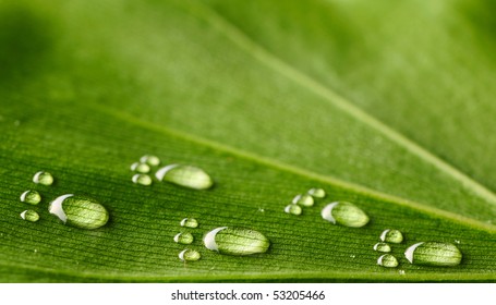 Beautiful Water Footprint Drops On A Leaf Close-up