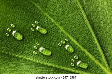 Beautiful Water Footprint Drops On A Leaf Close-up