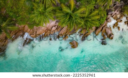 Beautiful water with palm tress in the Seychelles