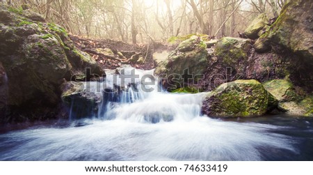 Beautiful waterfall in autumn forest