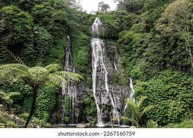 Beautiful waterfall in Bali. Banyumala waterfall in the forest. Water running and small lake under in the middle of the trees. Beautiful nature and holidays. - Powered by Shutterstock