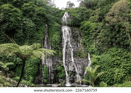 Beautiful waterfall in Bali. Banyumala waterfall in the forest. Water running and small lake under in the middle of the trees. Beautiful nature and holidays.