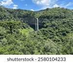 A beautiful waterfall cascades down a rocky cliff surrounded by lush green forest under a bright blue sky. The scene is tranquil and natural, capturing the essence of untouched nature.