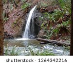 A beautiful waterfall and creek in a park. Taken in Comox on Vancouver Island, Canada, but suitable to illustrate forests, waterfalls, nature, quiet and peaceful places, or gorgeous wilderness.