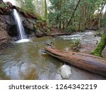A beautiful waterfall and creek in a park. Taken in Comox on Vancouver Island, Canada, but suitable to illustrate forests, waterfalls, nature, quiet and peaceful places, or gorgeous wilderness.