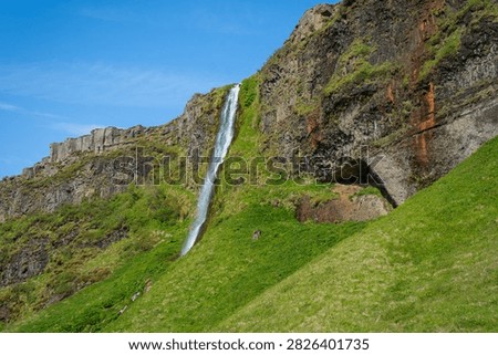 A beautiful waterfall flowing down a steep rocky cliff covered in vibrant green grass and moss under a clear blue sky in Iceland.