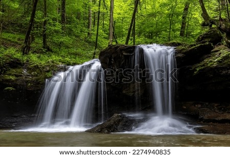 Beautiful waterfall in the forest. Forest waterfall landscape. Waterfall in forest. Waterfall cascade in forest
