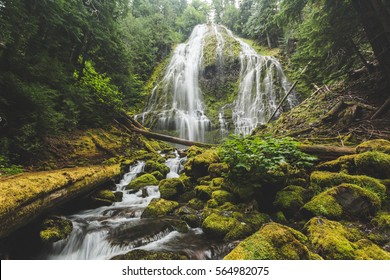 Beautiful waterfall landscape in lush, green forest. Proxy Falls, Oregon, USA.