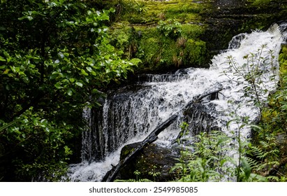 Beautiful waterfall New Zealand Catlins surrounded by lush forest green - Powered by Shutterstock