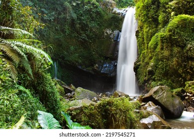 A Beautiful Waterfall In The Quiet Forest