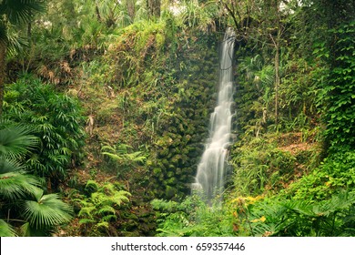 Beautiful Waterfall.  Rainbow Springs, Florida State Parks, USA