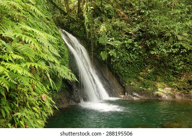Beautiful waterfall in a rainforest. Cascades aux Ecrevisses, Guadeloupe, Caribbean Islands, France