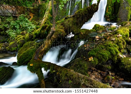 Similar – Image, Stock Photo Bear Guard Gorge Nature