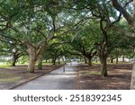 Beautiful waterfront park in downtown Charleston, South Carolina, US. A prime greenery location overlooking Charleston Harbor and the Cooper River. A well preservation with beautiful landscape, shades