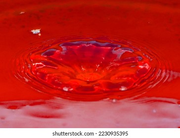 beautiful waveforms on the surface of the liquid after hitting a drop of water