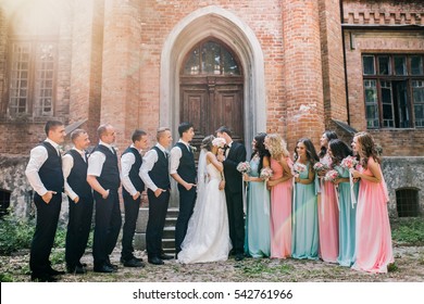 The Beautiful Wedding Couple With  Bridesmaids And Groomsmen 