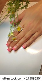 beautiful well  groomed female hands and beautiful design manicure  ombre gradient the nails soft pink shade gel polish