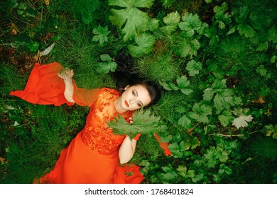 Beautiful well-groomed woman with a plant in her arms. Portrait of a girl with natural grass in a lush red dress in a rainforest, a beautiful woman relaxing - Shutterstock ID 1768401824