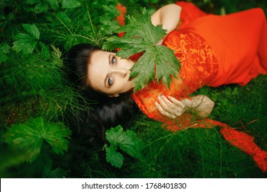 Beautiful well-groomed woman with a plant in her hands. Portrait of a girl with natural grass in a lush red dress in a rainforest, a beautiful woman resting. The view from the top - Shutterstock ID 1768401830