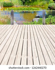 Beautiful well-kept garden with terrace and garden pond - Shutterstock ID 1262440270