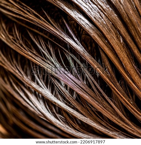 Beautiful wet long hair of a girl. Hair coloring in a beauty salon. Macro photography of women's hair. Concept of hair care. Beauty care concept. 
