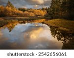 Beautiful wetland area filled. with golden sunset light and clouds reflecting in the water. Seen in the Salish Sea area of western Washington state. An important habitat for fish and migrating birds.