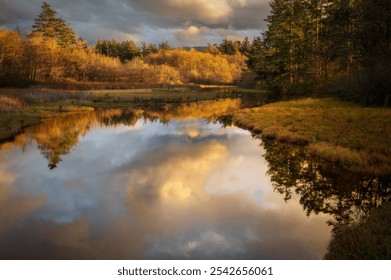 Beautiful wetland area filled. with golden sunset light and clouds reflecting in the water. Seen in the Salish Sea area of western Washington state. An important habitat for fish and migrating birds. - Powered by Shutterstock