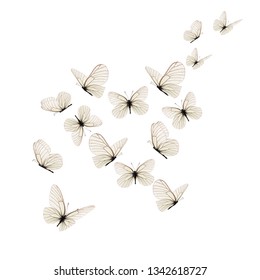 white butterfly