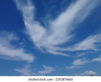 Beautiful White Clouds On Deep Blue Sky Background. Elegant Blue Sky Picture In Daylight. Large Bright Soft Fluffy Clouds Are Cover The Entire Blue Sky. Cumulus Clouds Against Blue Sky. No Focus