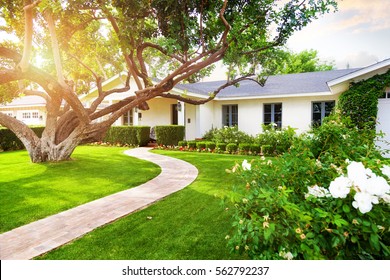 Beautiful white color single family home in Phoenix, Arizona USA with big green grass yard, large tree and roses - Shutterstock ID 562792237