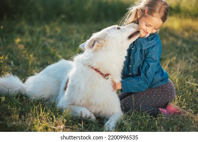 Beautiful White Dog And Sweet Little Girl, Playing In The Yard, A Pet Kissing A Smiling Child By Licking Her Face