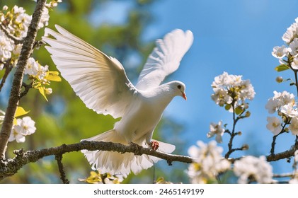 A beautiful white dove lands on a Cherry rose branches. - Powered by Shutterstock