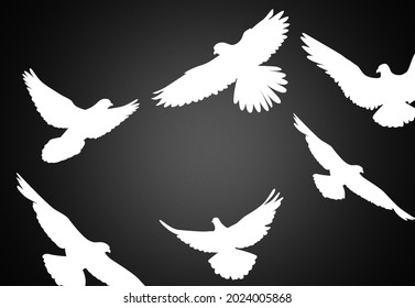 335 Dove png Images, Stock Photos & Vectors | Shutterstock