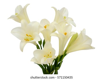 Beautiful White Easter Lily Flower Bouquet Isolated On White Background