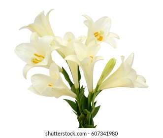 Beautiful White Easter Lily Flower Bouquet Isolated On White Background