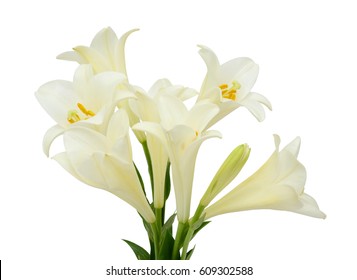 Beautiful White Easter Lily Flower Bouquet Isolated On White Background