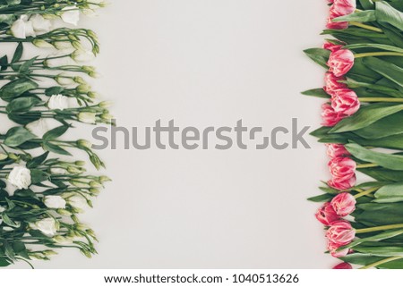 Similar – Tropical palm leaves and exotic flower frames