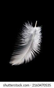 Beautiful White Feather Floating Air Isolated Stock Photo 2163470535 ...