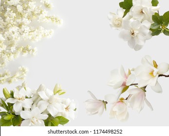 Beautiful White Flower Background Stock Photo 1174498252 | Shutterstock