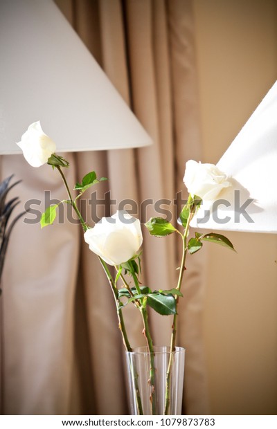 Beautiful White Flower Glass Vase Inside Stock Photo Edit Now