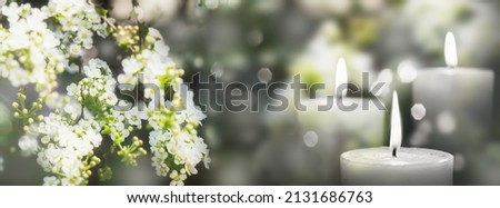 beautiful white flowering branch and 3 white candle lights outside in a garden, floral concept with burning candles decoration for contemplative athmosphere background