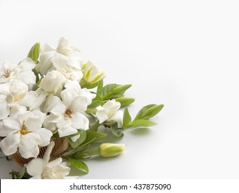 Beautiful White Gardenia Flower Bouquet  Blooming Background