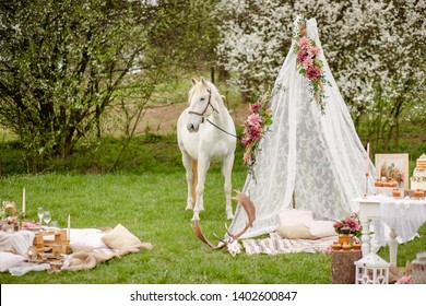 The Beautiful White Horse And Wedding Teepee Tent