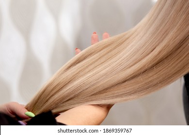 Beautiful white long hair in the hand of a female hairdresser. Professional hair care products. Hair coloring. - Powered by Shutterstock