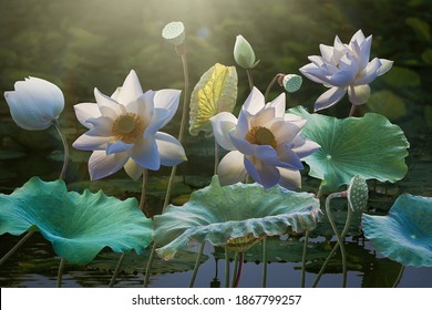 Beautiful white lotus flower in lake