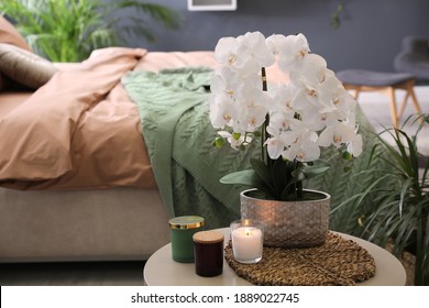 Beautiful white orchids and candles on table in bedroom, space for text. Interior design