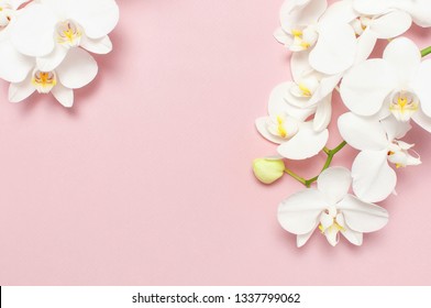Beautiful White Phalaenopsis orchid flowers on pastel pink background top view flat lay. Tropical flower, branch of orchid close up. Pink orchid background. Holiday, Women's Day, Flower Card, beauty 