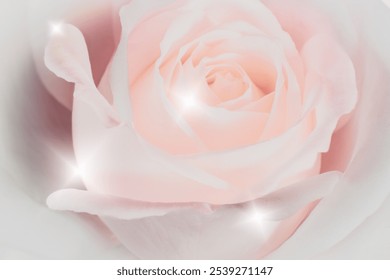 beautiful white rose close up background with dew drops for postcard or valentine - Powered by Shutterstock