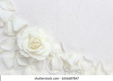 1,260,579 White rose petals Images, Stock Photos & Vectors | Shutterstock